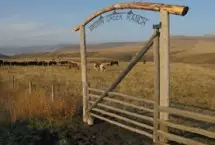 Photograph of Brown Creek Ranch, Claresholm