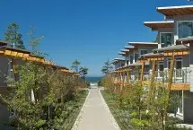 Photograph of 1431 At Cox Bay, Tofino