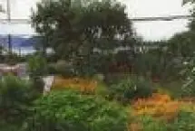 Photograph of Tinkerers' Bed and Breakfast, Mayne Island