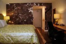 Photograph of Hotel Indigo, Toronto