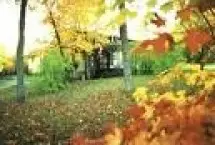 Photograph of Goode Knight Bed & Breakfast (The), Thessalon