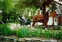 Photograph of Hackney Horse Bed & Breakfast, Wyebridge