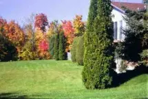 Photograph of Windrift Bed and Breakfast, Kingston