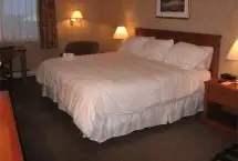 Photograph of Hotel Auberge Universel Montreal, Montreal