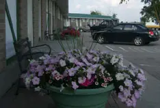 Photograph of Thriftlodge Napanee, Kingston