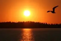 Photograph of Big Fish Bay RV Resort, Slave Lake