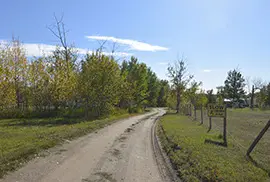 Photograph of McLeod Creek Picnic & Campground, Gibbons