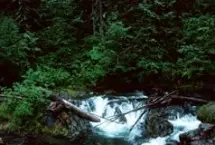 Photograph of Mount Fernie Provincial Park, Fernie