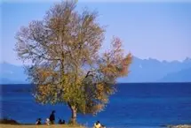 Photograph of Newcastle Island Marine Provincial Park, Nanaimo