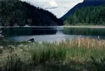 Photograph of Premier Lake Provincial Park, Skookumchuck