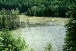 Photograph of North Thompson River Provincial Park, Clearwater