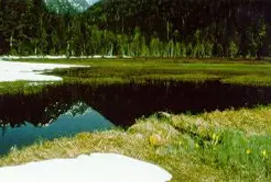 Photograph of Schoen Lake Provincial Park, Woss