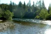 Photograph of Rivers Edge Guest Cottages, Kleena Kleene