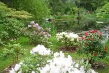 Photograph of Shibui B&B, Duncan