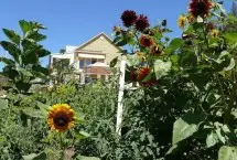 Photograph of Grape Escape Guest House, Summerland