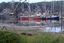 Photograph of North Coast Cottages, Port Hardy