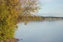 Photograph of Shoreline Resort, Lac La Hache