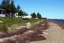 Photograph of Sandy Point Park, Baie-Sainte-Anne