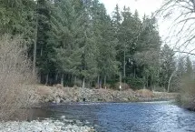 Photograph of Quatse River Campground, Port Hardy