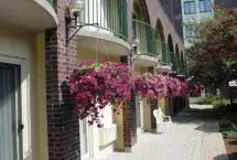 Photograph of Waterloo Inn, Waterloo