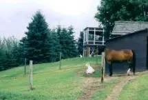 Photograph of The Music Ranch B&B, Stony Plain