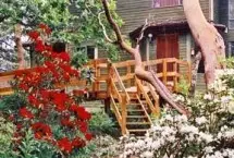 Photograph of Arbutus Hill Bed and Breakfast, Victoria