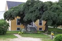 Photograph of Bonnie's Down Home Country Bed & Breakfast, Lunenburg