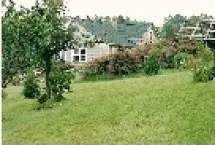 Photograph of Old Country Rose Retreat, Clementsport