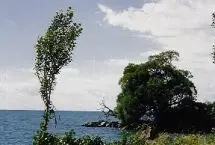 Photograph of The Gathering Place B&B, Pelee Island