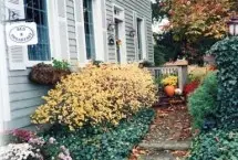 Photograph of Parliament Cottage Bed and Breakfast, Niagara-on-the-Lake