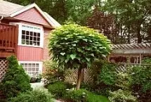 Photograph of Hiebert's Guest House, Niagara-on-the-Lake