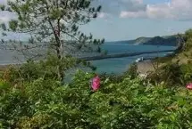Photograph of Ebb Tide Vacation Home, Port Greville