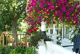 Photograph of Delft Haus Bed and Breakfast, Centreville
