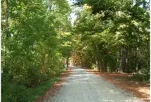 Photograph of Lambton Centre Family Campground, Forest