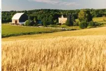 Photograph of Hidden Valley Farm, Chatsworth