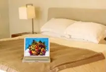Photograph of Comfy Guest House & Suite (Bed & Breakfast), Toronto
