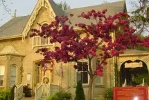 Photograph of Telegraph House, Port Stanley