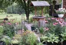 Photograph of Algonquin Moon Bed and Breakfast, Huntsville