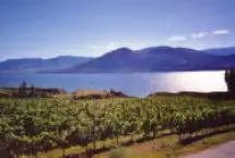 Photograph of A Touch of English, Summerland