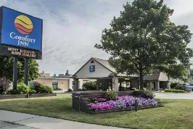 Photograph of Comfort Inn, London