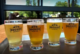 Photograph of Bogside Brewing, Montague