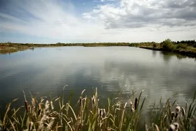 Photograph of Black Nugget Lake Campground, Ryley