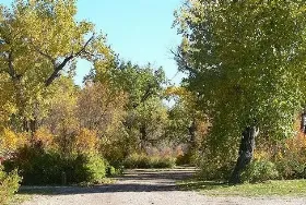 Photograph of Emerson Bridge Park Campground, Brooks