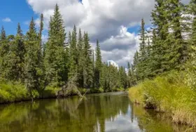 Photograph of Harlech Provincial Recreation Area, Rocky Mountain House