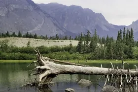 Photograph of Lac Des Arcs Campground, Canmore