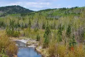 Photograph of Gooseberry Provincial Recreation Area, Bragg Creek