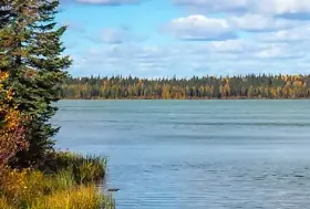 Photograph of Obed Lake Provincial Park, Hinton