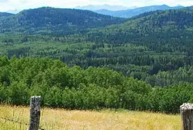 Photograph of North Fork Provincial Recreation Area, Bragg Creek