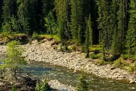 Photograph of North Ghost Provincial Recreation Area, Lac La Biche