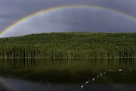Photograph of Jarvis Lake Campground, Hinton